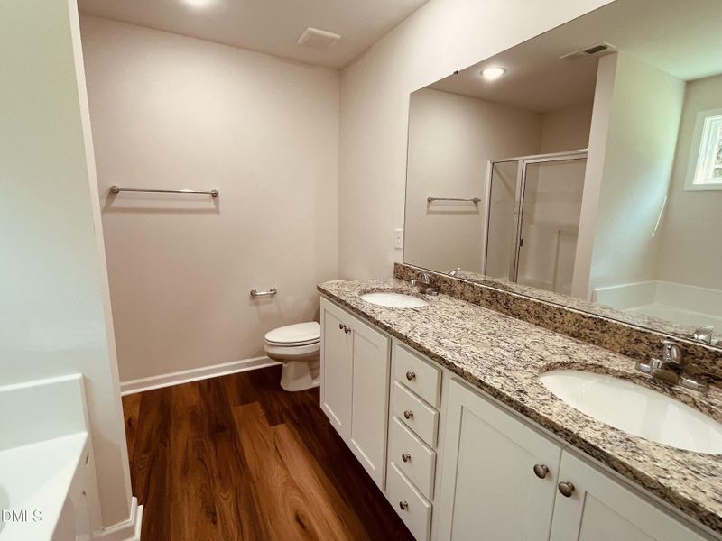 IMG_2155 - Copy IMG_2155 - Copy