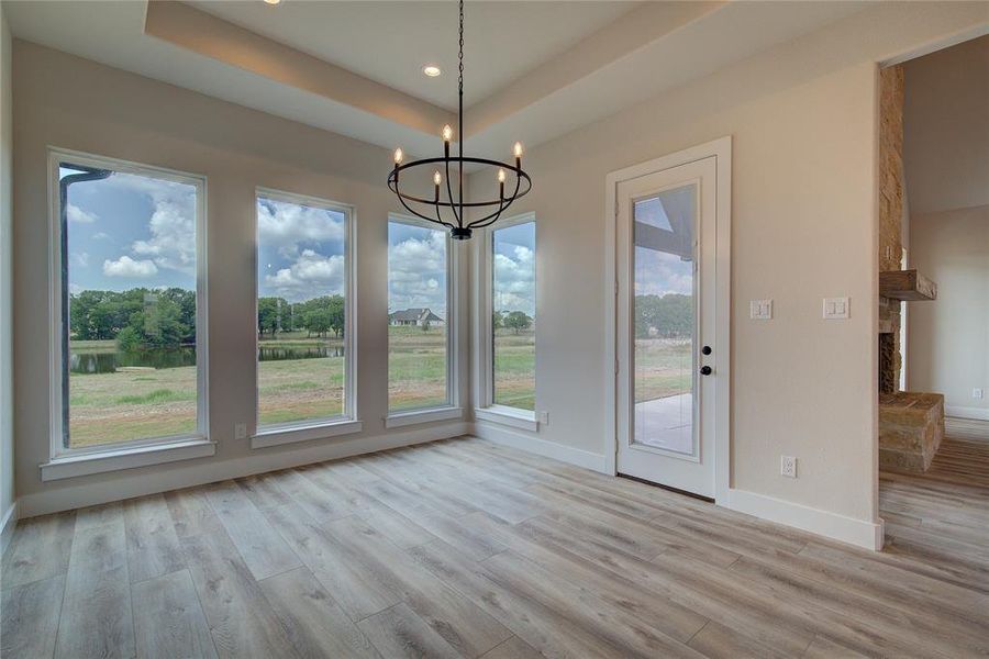 Unfurnished dining area featuring a raised ceiling, a healthy amount of sunlight, and light wood-type flooring