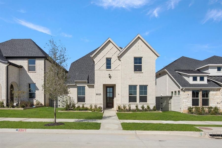 0_8825 Acorn- Front-1