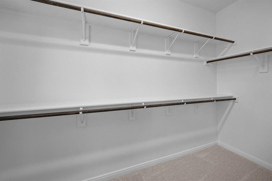 Walk in closet featuring carpet floors