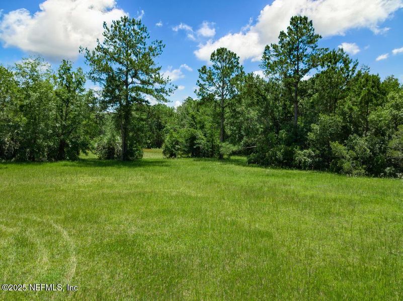 Natural landscape and outdoor views near  in Jacksonville (Image 49).