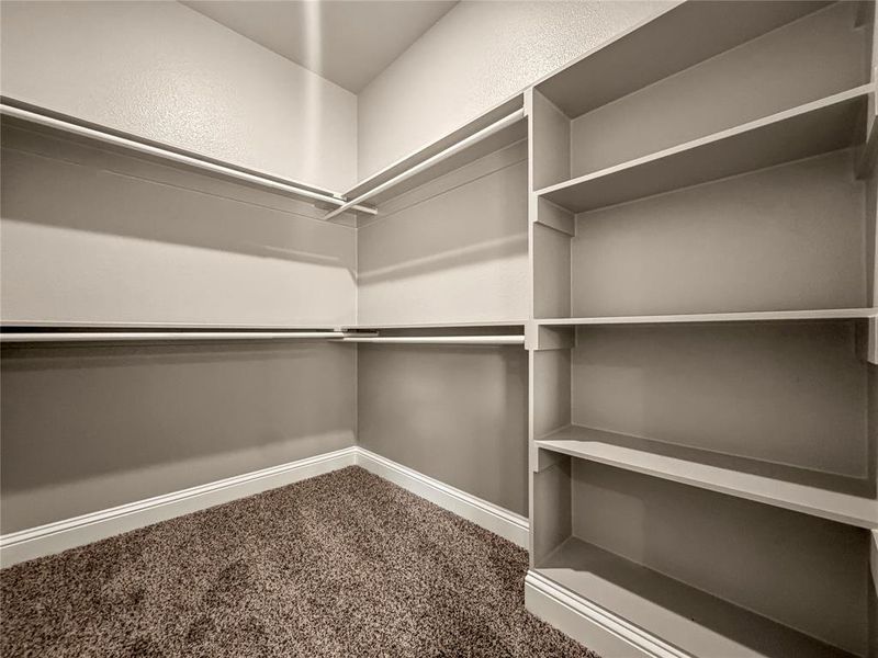Walk-in closet featuring built-in shelving, multiple hanging rods, white trim, and plush carpeting Walk-in closet featuring built-in shelving, multiple hanging rods, white trim, and plush carpeting