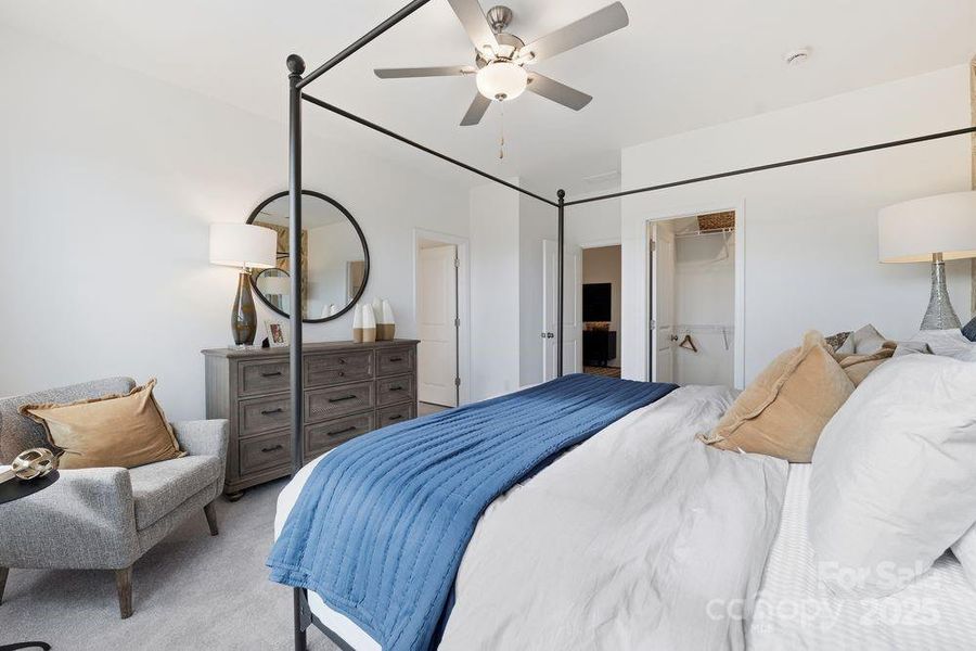 Representative Photo