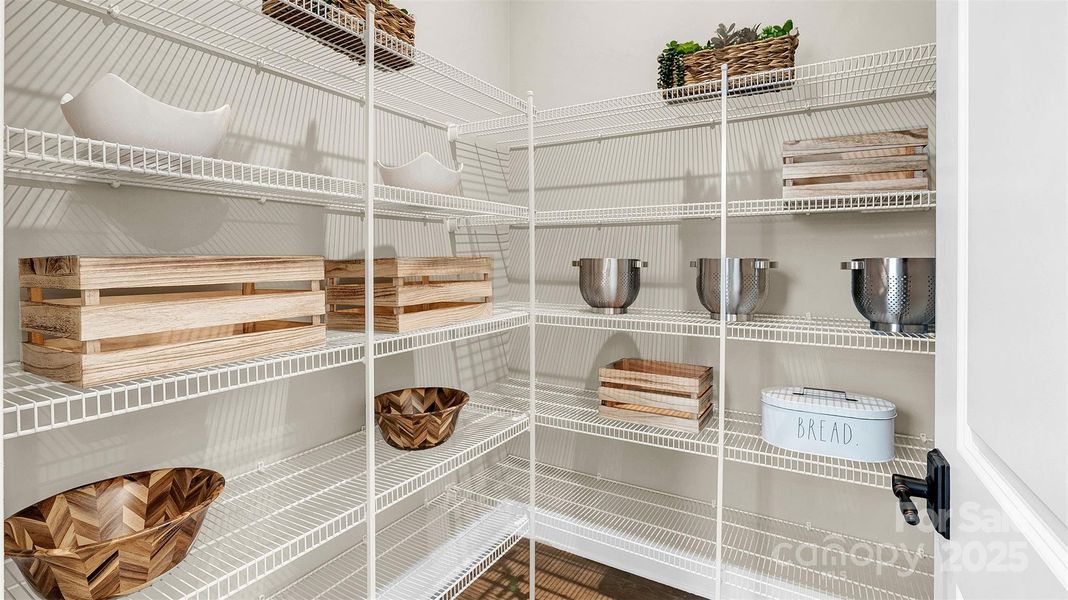 Model photo used for reference