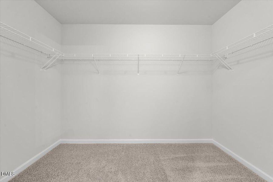 Fay_Stout_17 (28)1 Fay_Stout_17 (28)1