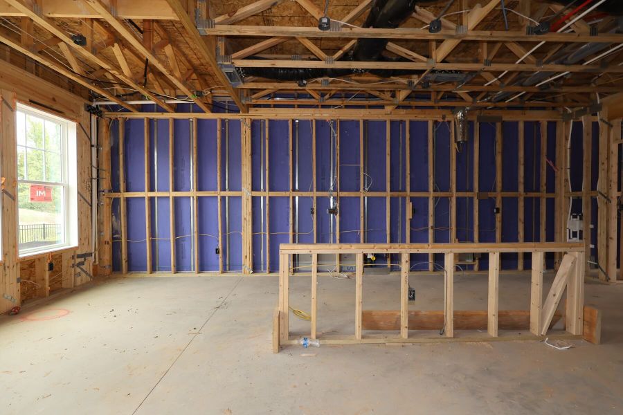 Framing Framing