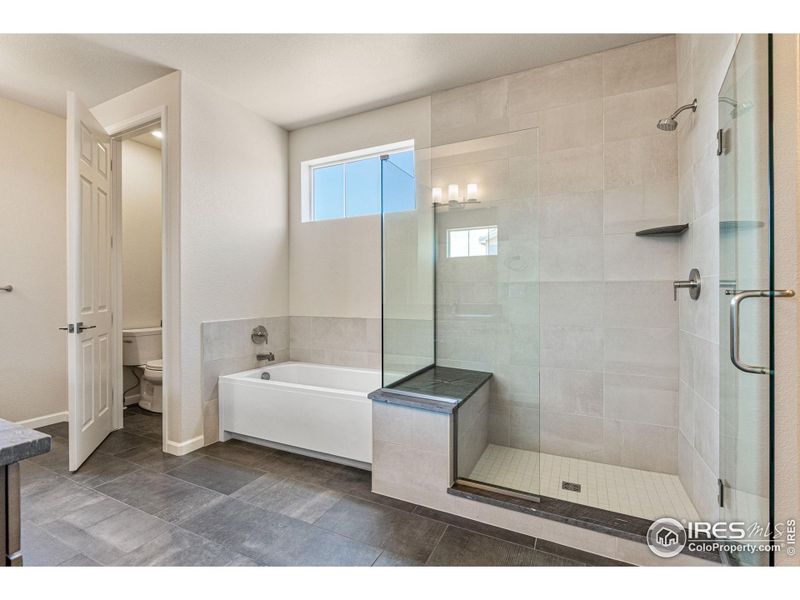 Primary bathroom with soaker tub