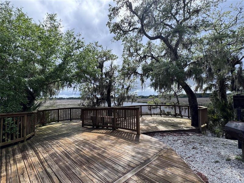 Natural landscape and outdoor views near  in Fernandina Beach (Image 59).