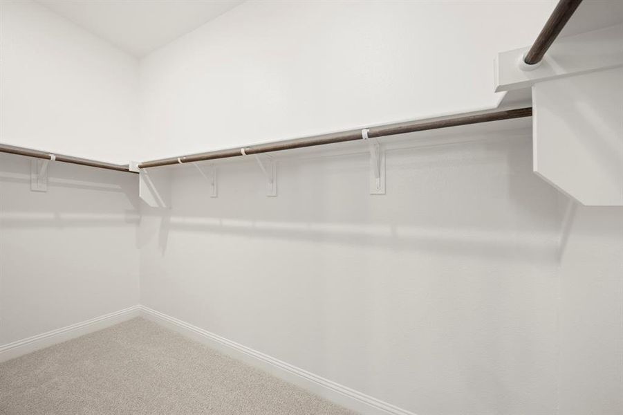 17. 309 Bee Balm - Closet 17. 309 Bee Balm - Closet