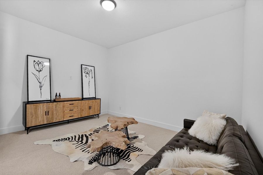 Entertainment Room