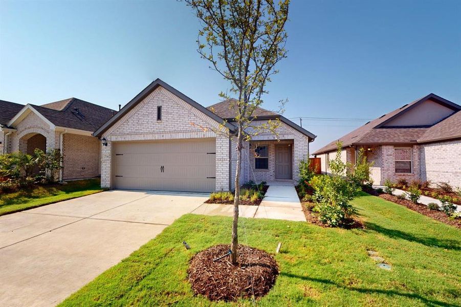 Front exterior of a new home in Elevon, Lavon, TX, highlighting curb appeal (Image 17). Front exterior of a new home in Elevon, Lavon, TX, highlighting curb appeal (Image 17).