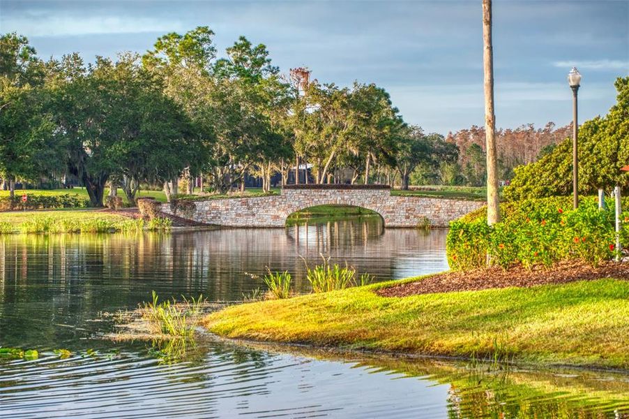 Natural landscape and outdoor views near  in Poinciana (Image 36).