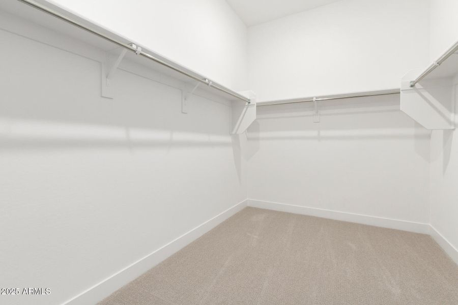 17 - Kingbird 17 - Kingbird