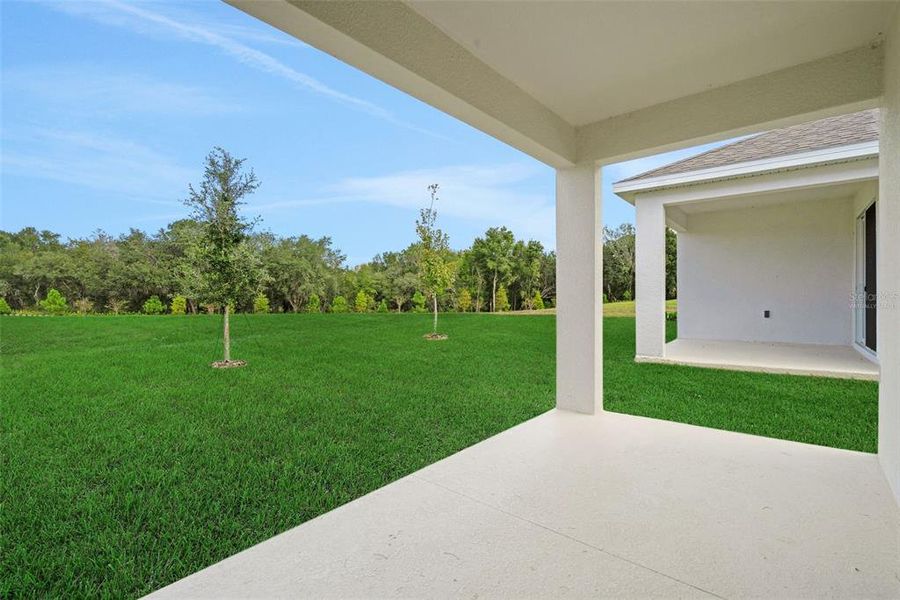 Exterior details and patio area of a home in Reserve at Hammock Oaks, Lady Lake (Image 19). Exterior details and patio area of a home in Reserve at Hammock Oaks, Lady Lake (Image 19).