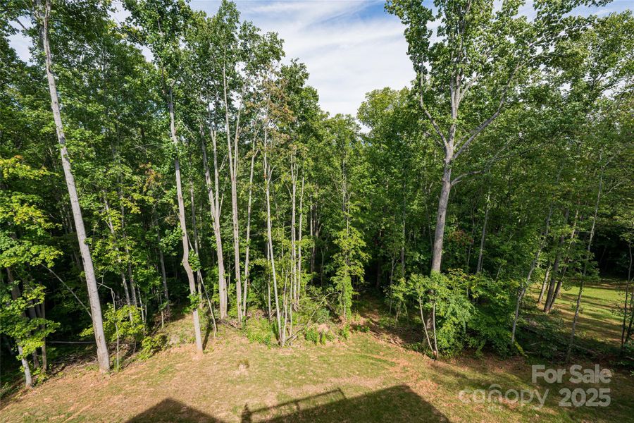Natural landscape and outdoor views near  in Mars Hill (Image 32).