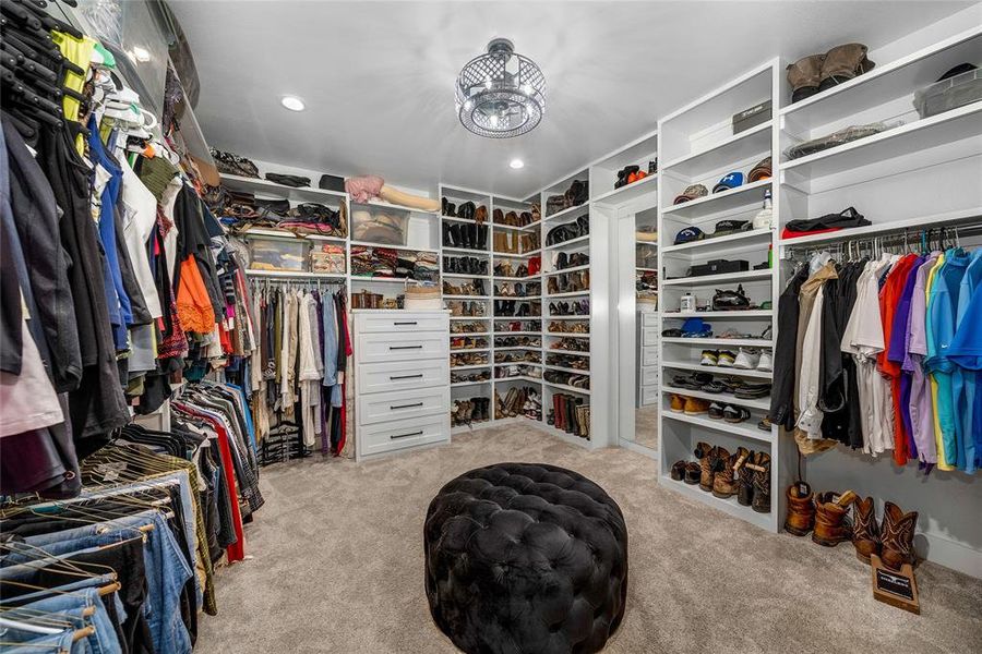 Spacious closet featuring light carpet
