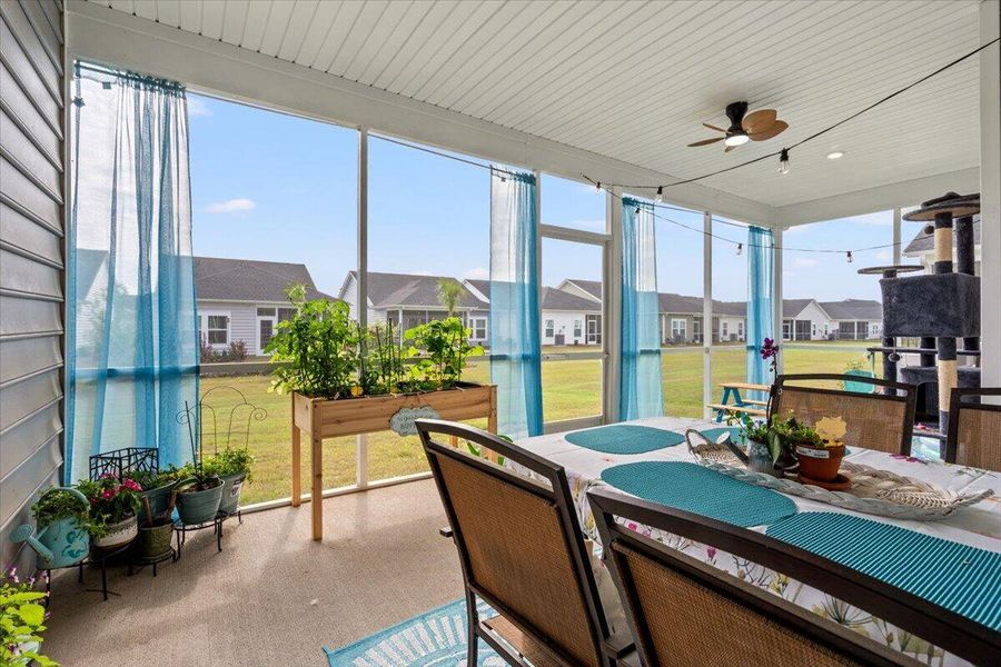 Exterior details and patio area of a home in Horizons at Summers Corner | 55+, Summerville (Image 30).