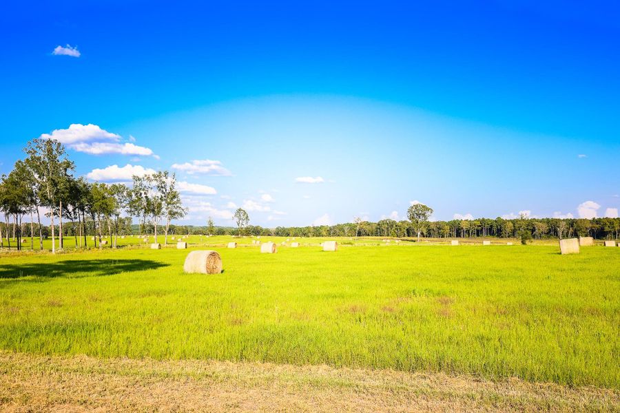 Image 20 of a home in . Image 20 of a home in .