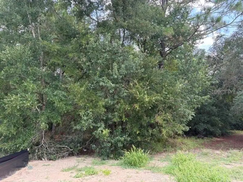 Natural landscape and outdoor views near Juliette Falls in Dunnellon (Image 12). Natural landscape and outdoor views near Juliette Falls in Dunnellon (Image 12).