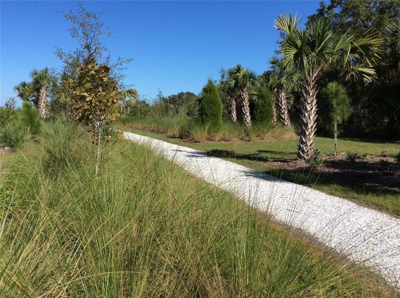Natural landscape and outdoor views near  in Sarasota (Image 40).