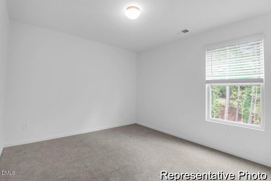 201 Surfbird -Tidalcreekphoto- (23)_REP 201 Surfbird -Tidalcreekphoto- (23)_REP