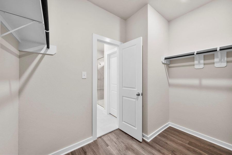 Spacious, unfurnished interior of a new home in Cypress Green, Hockley (Image 25).