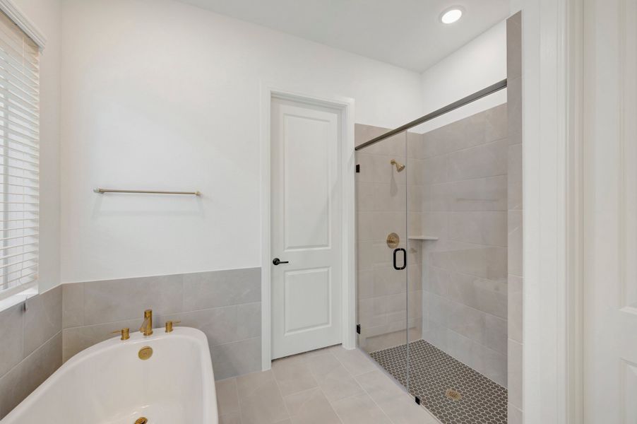 Owner's Bath