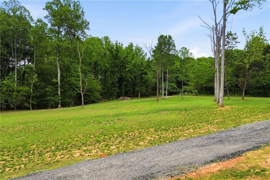 Natural landscape and outdoor views near  in Ball Ground (Image 35).