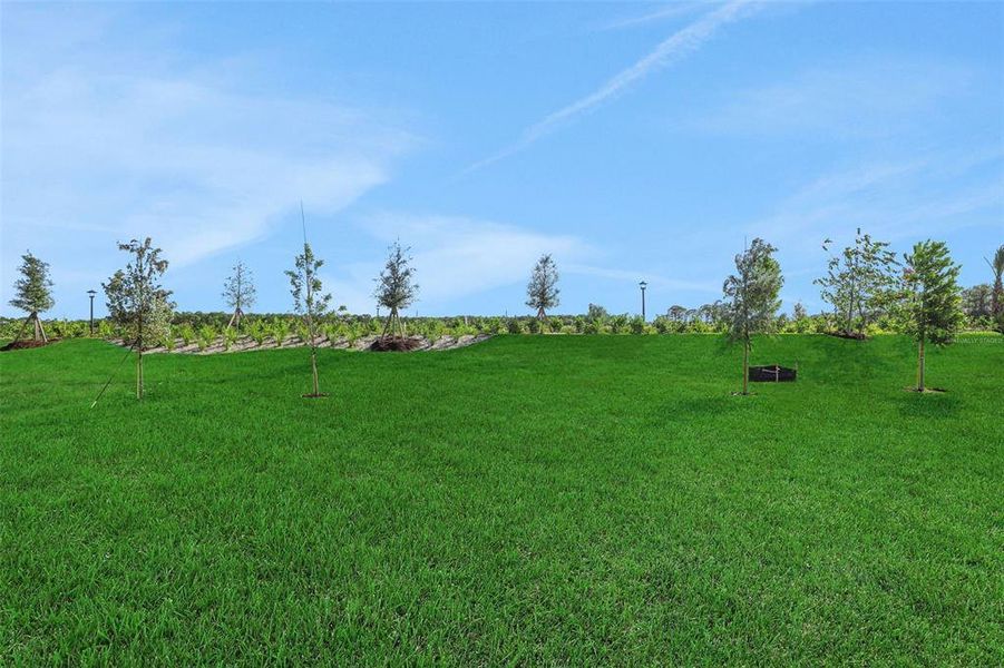 Natural landscape and outdoor views near Brystol North at Wylder in Port St. Lucie (Image 44).