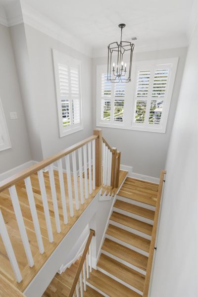 Spacious, unfurnished interior of a new home in , Mount Pleasant (Image 25).