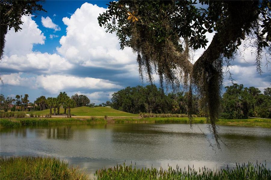 Natural landscape and outdoor views near  in Fort Myers (Image 30).