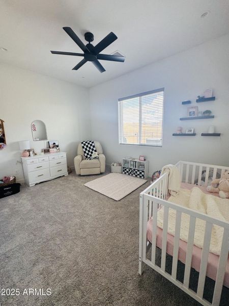 IMG_6149 (1) IMG_6149 (1)