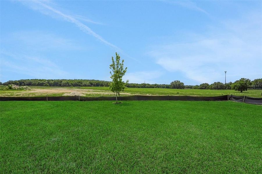 Natural landscape and outdoor views near Reserve at Hammock Oaks in Lady Lake (Image 32). Natural landscape and outdoor views near Reserve at Hammock Oaks in Lady Lake (Image 32).