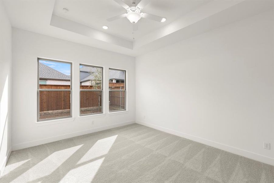 12_13. 1028 Golden Galaxy - Primary