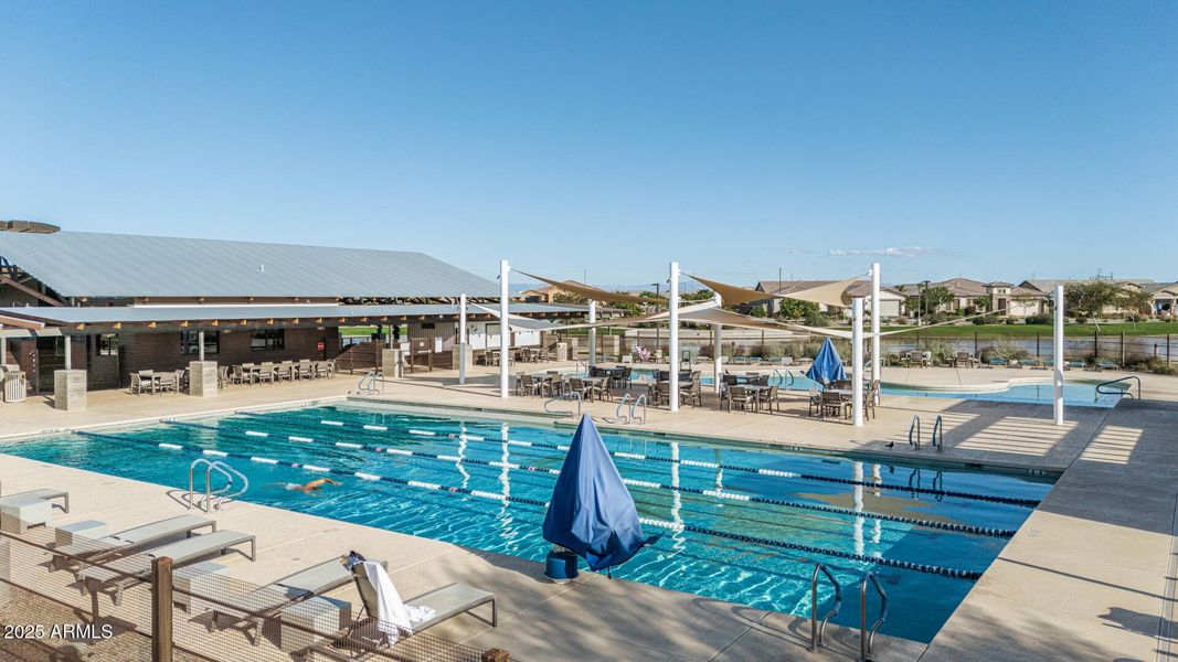 12 Excelsior 12 Excelsior