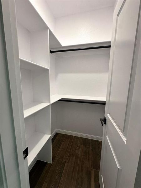 Spacious closet with dark hardwood / wood-style floors