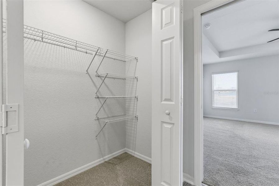 Spacious, unfurnished interior of a new home in , Davenport (Image 35).