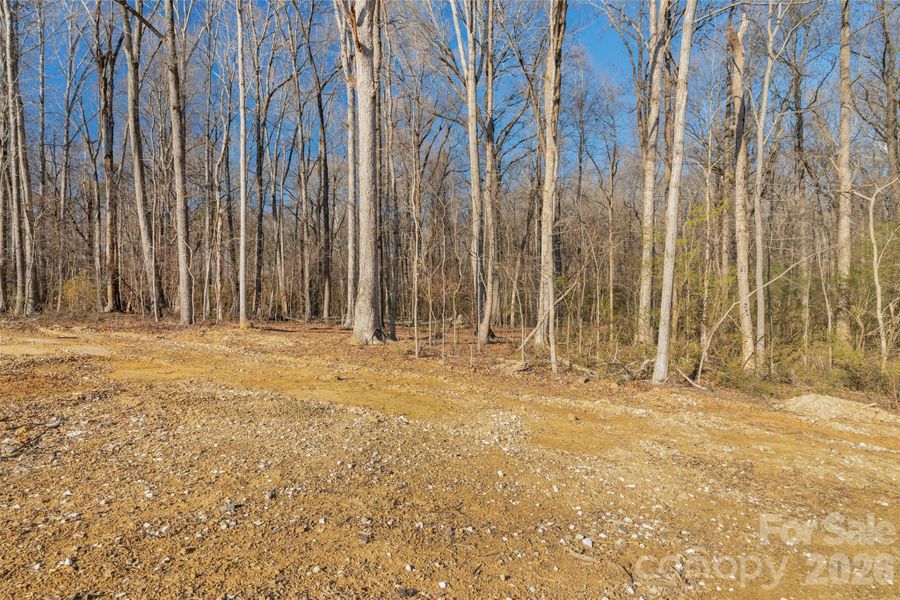 Natural landscape and outdoor views near  in Waxhaw (Image 25).