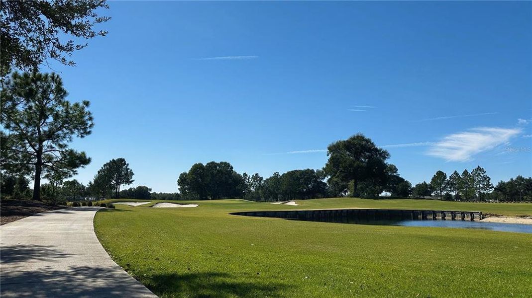 Natural landscape and outdoor views near  in Ocala (Image 49).