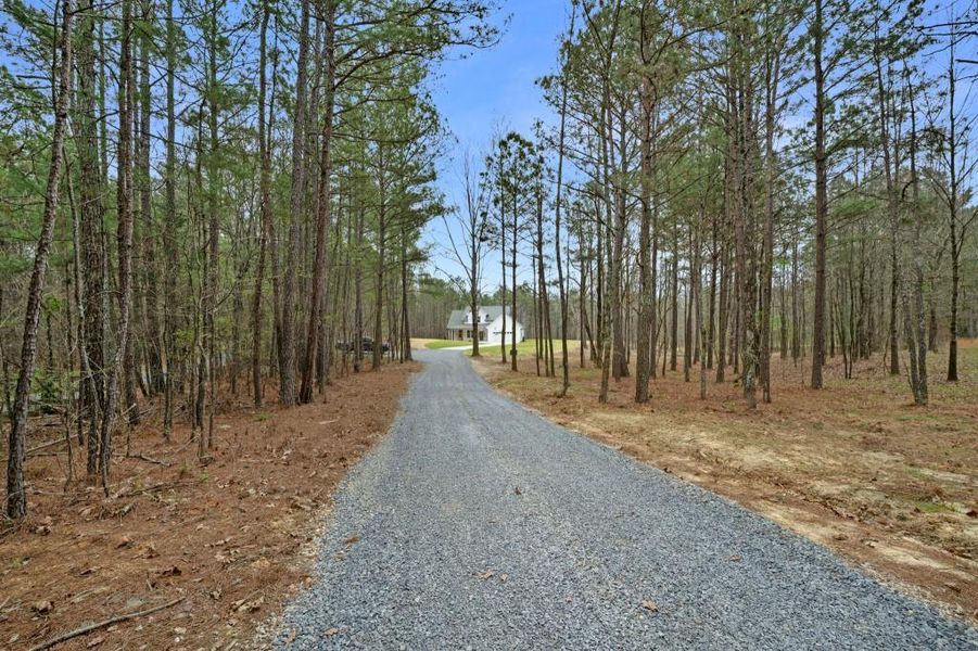 Natural landscape and outdoor views near  in Calhoun (Image 27).