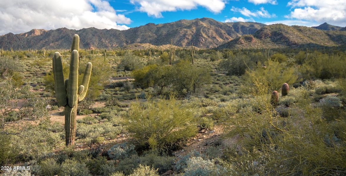 Picture of the desert and Mountains - Co