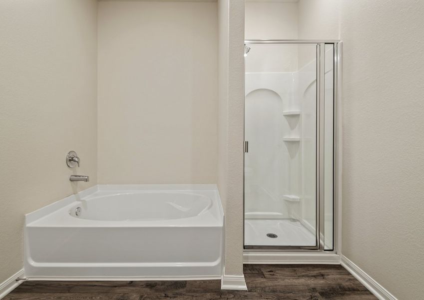 Step-in shower and seperate tub in the master bathroom Step-in shower and seperate tub in the master bathroom