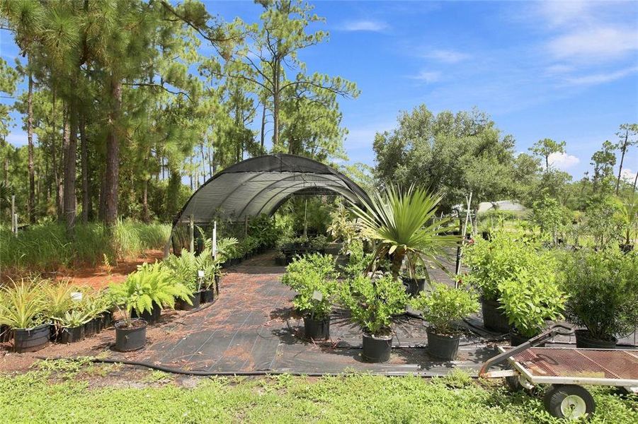 Natural landscape and outdoor views near in North Port (Image 41). Natural landscape and outdoor views near in North Port (Image 41).