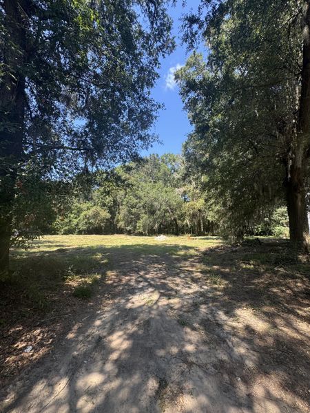 Natural landscape and outdoor views near in Johns Island (Image 49). Natural landscape and outdoor views near in Johns Island (Image 49).