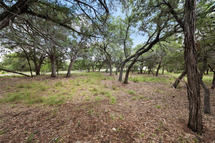 Mature trees and natural ground cover define this appealing lot. Mature trees and natural ground cover define this appealing lot.