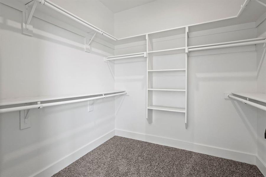 Walk in closet with carpet flooring