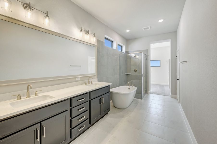 Owner's Bath
