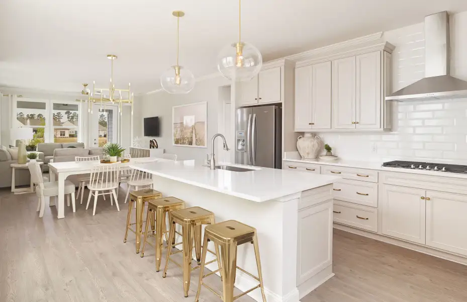 Furnished interior view inside a new home in Carolina Riverside, Belmont (Image 11).