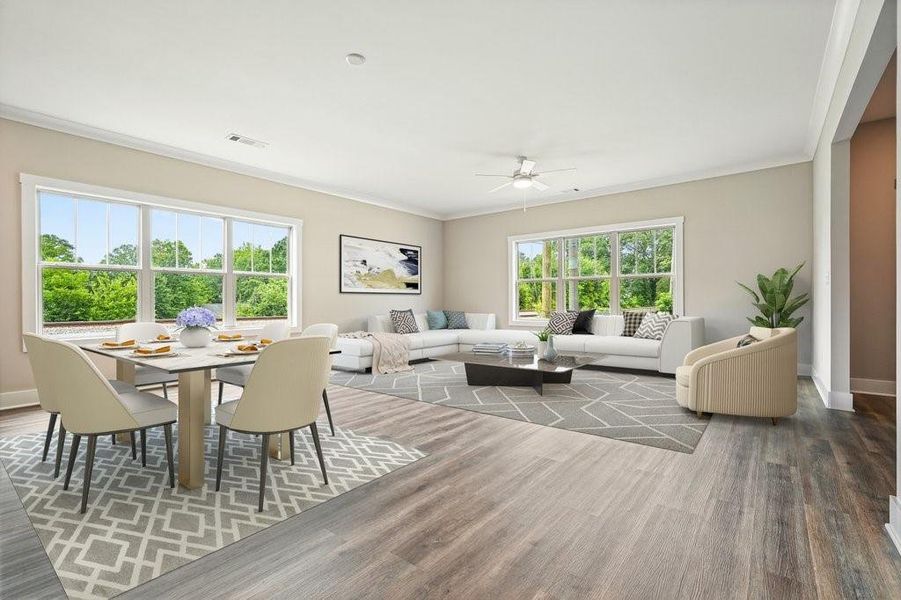 Furnished interior view inside a new home in , Acworth (Image 12). Furnished interior view inside a new home in , Acworth (Image 12).