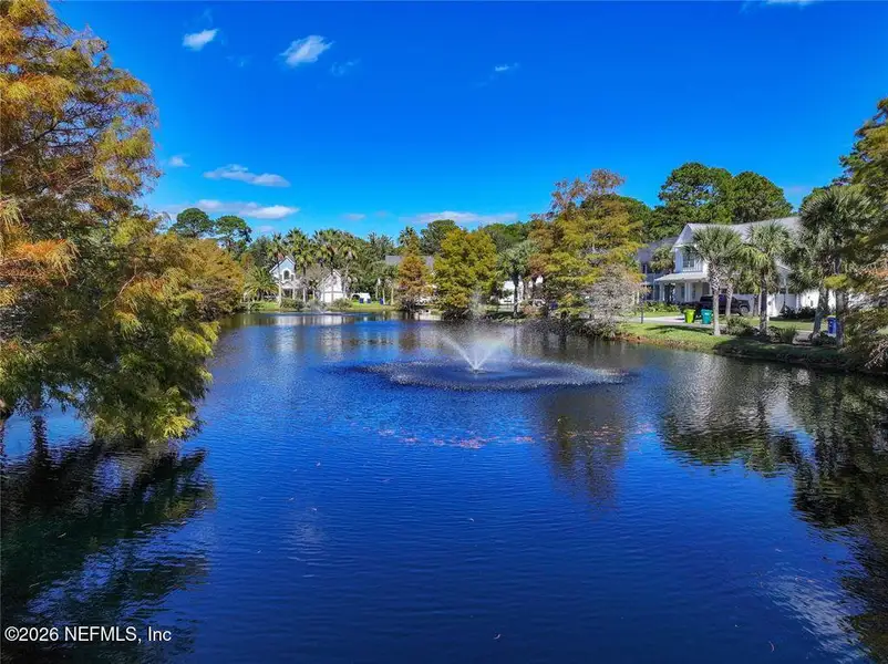 Natural landscape and outdoor views near in Fernandina Beach (Image 3). Natural landscape and outdoor views near in Fernandina Beach (Image 3).